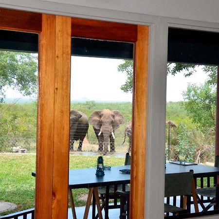 Tingala Lodge - Bed In The Bush พาลาบอร์วา ภายนอก รูปภาพ