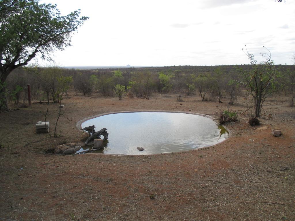 Tingala Lodge - Bed In The Bush พาลาบอร์วา ภายนอก รูปภาพ