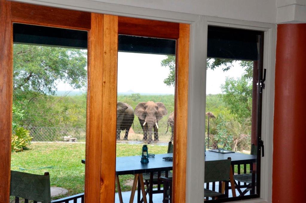 Tingala Lodge - Bed In The Bush พาลาบอร์วา ภายนอก รูปภาพ